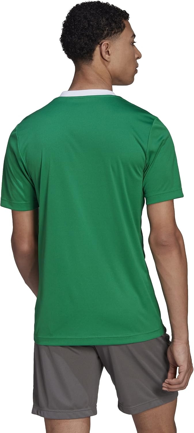 image:imageadidas Mens Entrada 22 JerseyTeam GreenWhite