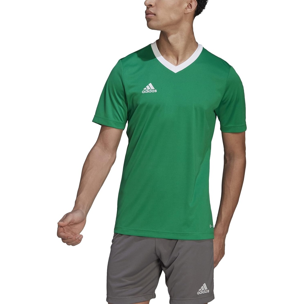 image:imageadidas Mens Entrada 22 JerseyTeam GreenWhite
