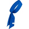 adidas Alphaskin Tie Headband(Collegiate Royal Blue/Black)