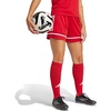 adidas Squadra 25 Shorts(Team Collegiate Red/Team Collegiate Red/White)