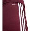 adidas Squadra 25 Shorts(Team Maroon/White)