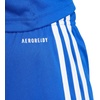 adidas Squadra 25 Shorts(Team Royal Blue/Team Royal Blue/White)