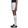 adidas Squadra 25 Shorts(White/White(2017))