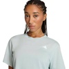 adidas Women’s Train Essentials Boxy T-shirt(Wonder Sage)