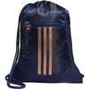 Dark Blue/Rose Gold/2