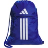 Team Royal Blue/3