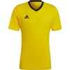 Team Yellow/Black
