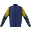 Team Royal Blue/Team Yellow
