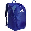 Team Royal Blue/4