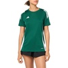 Team Dark Green/White