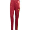 Team Collegiate Burgundy/Semi Solar Yellow