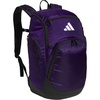 Team Collegiate Purple