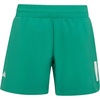 Semi Court Green